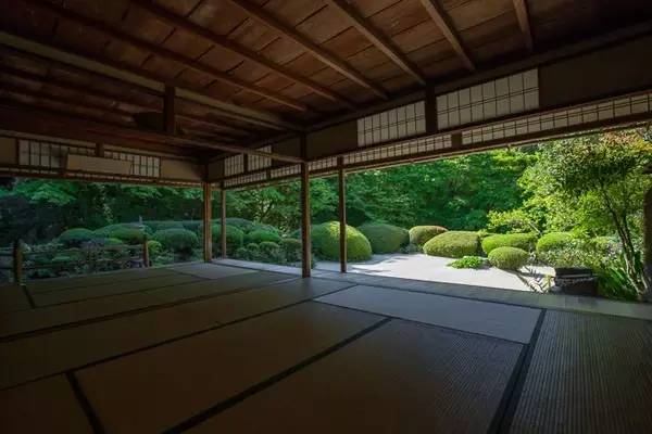 电车魔女游戏手机_魔女电车手机游戏怎么玩_电车魔女7手机观看