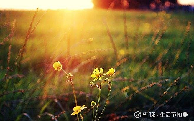 伊吹摩耶_伊吹摩耶_伊吹摩耶