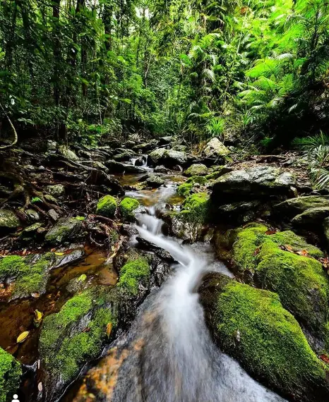 女装少年_少年女装图片_少年女装品牌