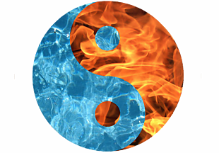 堇星取名_堇星闪耀_诸星堇