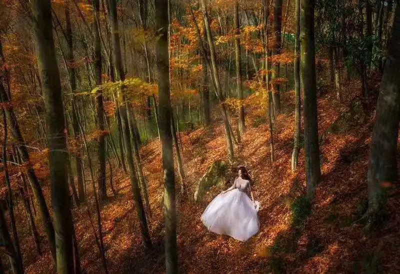 妙音天女_妙音天女是什么意思_妙音天女有多美