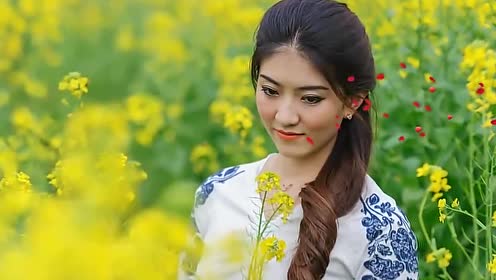 竹村桐子歌曲_竹村桐子_竹村桐子知道彭薇薇吗