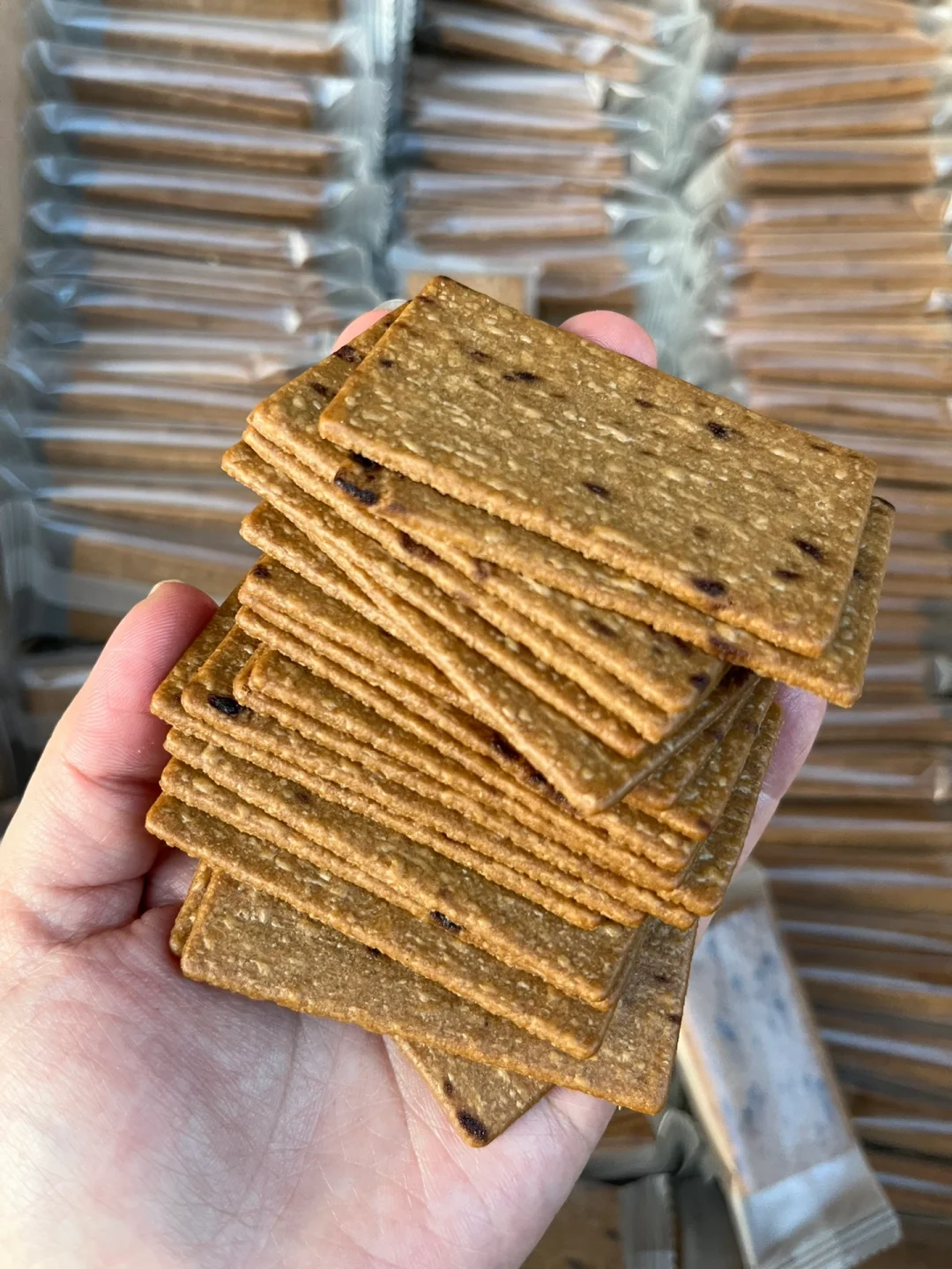 豆皮手机游戏_魔豆皮源码_豆腐皮游戏