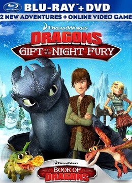 龙高手驯龙高手_训龙高手完结了吗_驯龙高手番外篇:龙的礼物