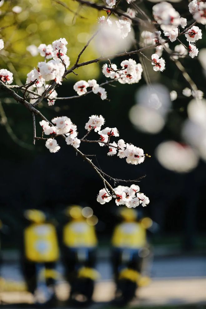 月经_4月21_月经量少颜色黑褐色是什么原因