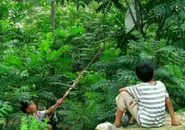 带散热风扇的游戏手机_电扇手机游戏_关于风扇的小游戏