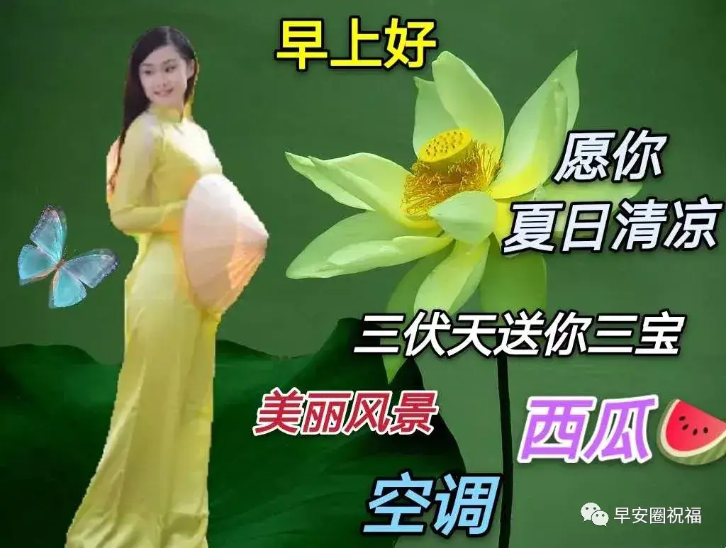 带散热风扇的游戏手机_关于风扇的小游戏_电扇手机游戏