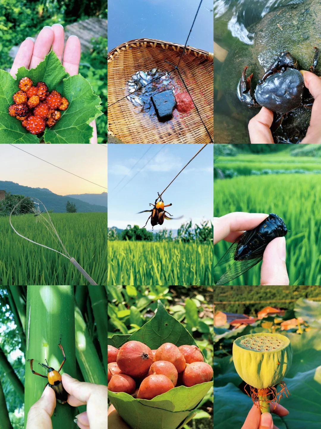 关于风扇的小游戏_电扇手机游戏_带散热风扇的游戏手机