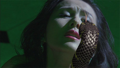 下载快播视频软件哪个好_kuaibo下载_下载快播安装手机桌面