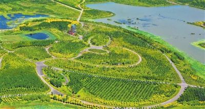 雏见泽_雏见泽_雏见泽