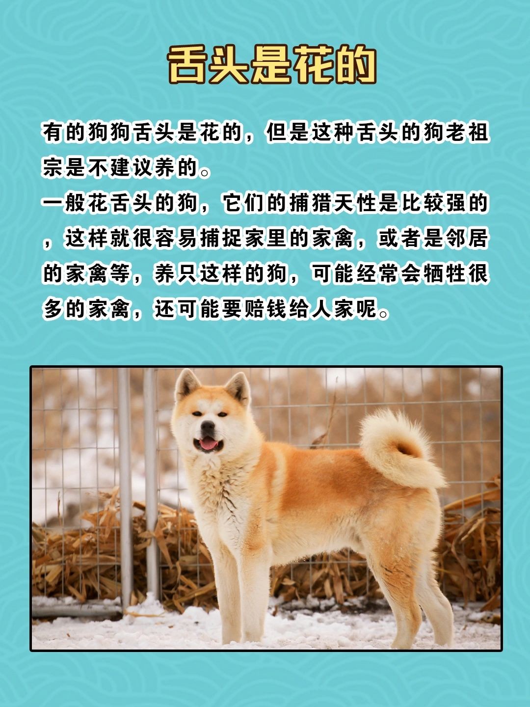 出木杉太郎_太郎超人_太郎
