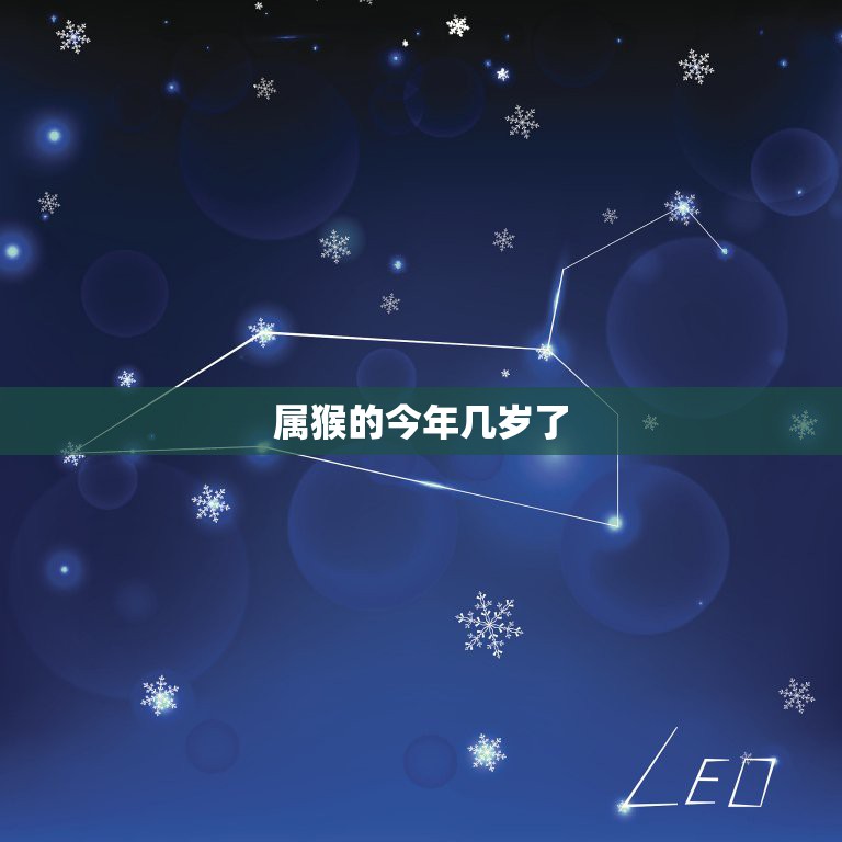 属猴的今年多大了_属相猴多大了今年_今年属猴多大了