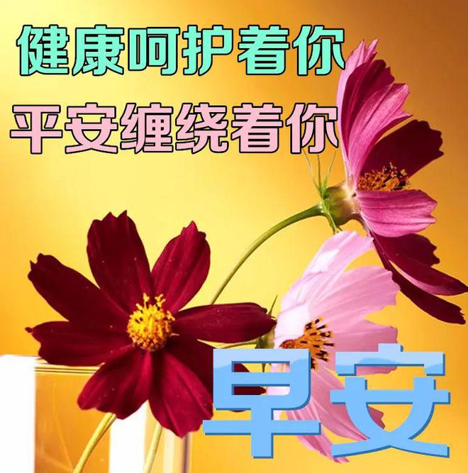 夏志卿_夏志卿对杨紫的评价_夏志卿出生日期