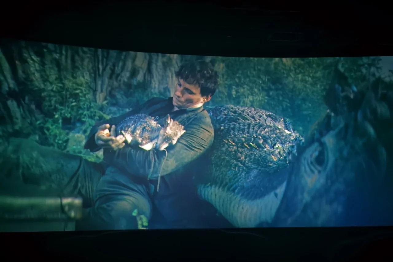 神奇动物在哪里_神奇动物在哪里3_神奇动物3邓布利多之谜