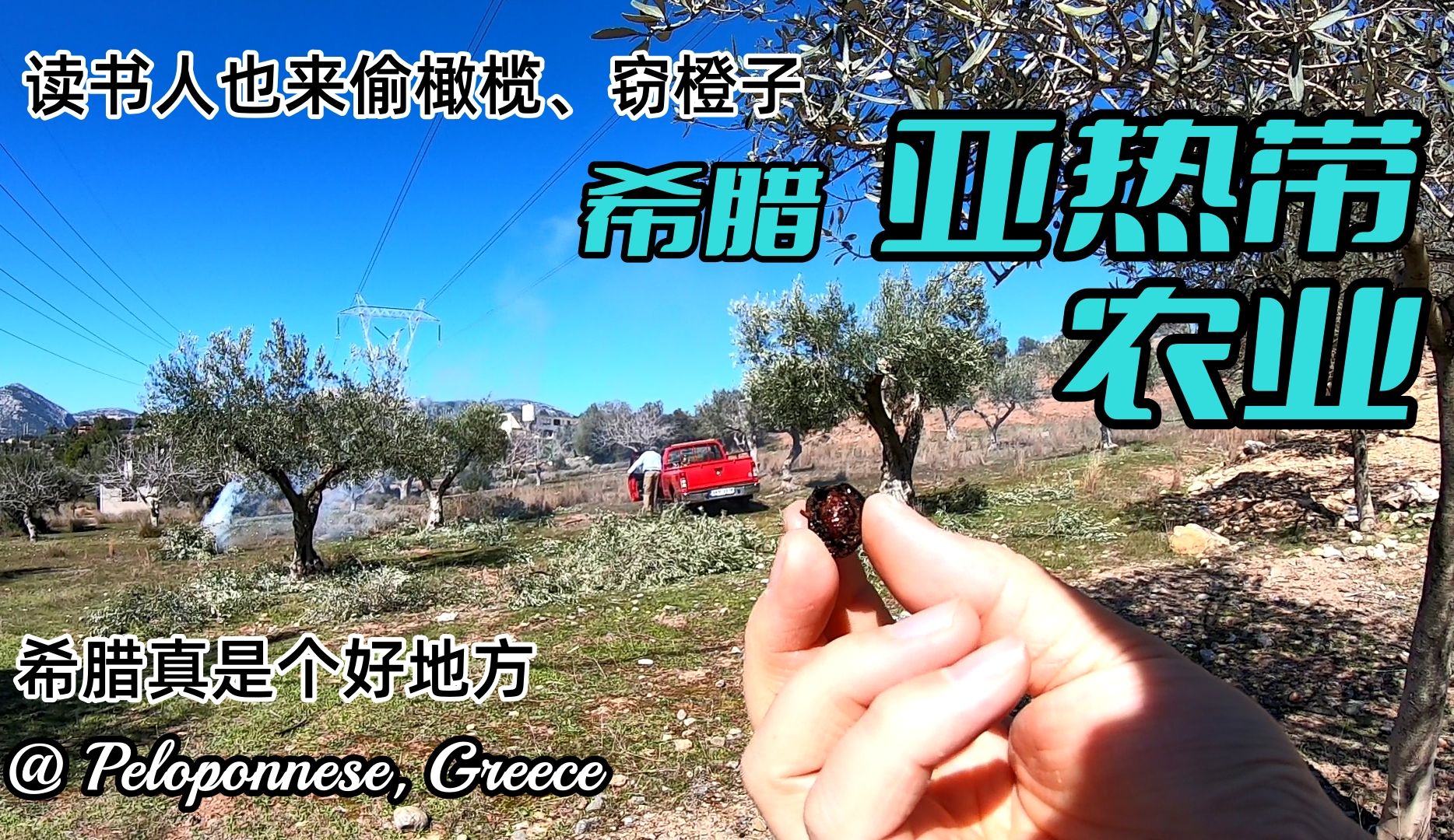 阿尔卑斯与危险森林2_危险森林与阿尔卑斯山_危险森林阿尔卑斯与危险森林