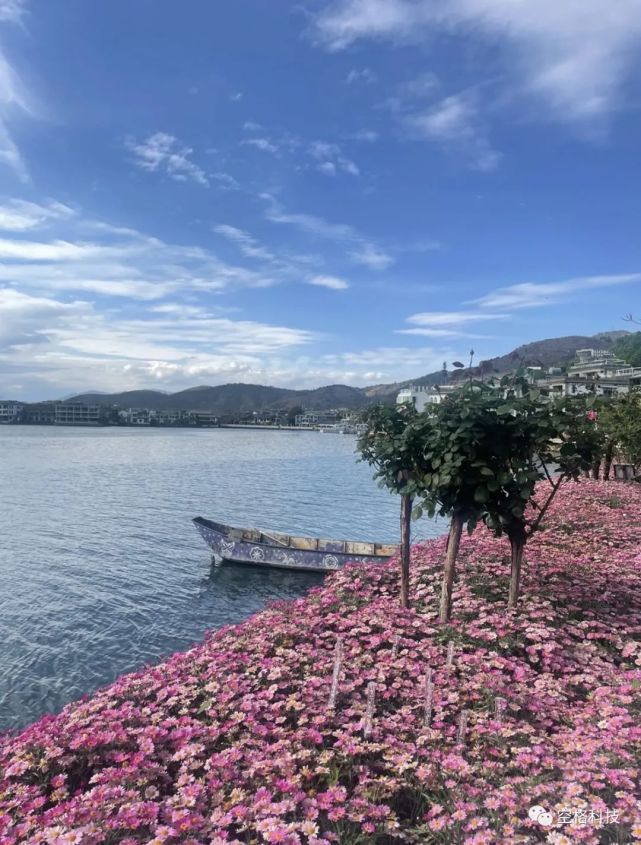 绿宝石水花_绿宝石水花是什么意思_水绿色宝石