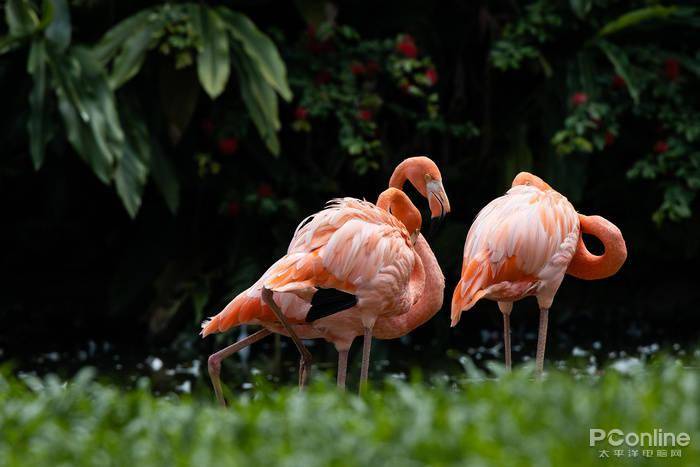 电脑手机高要求游戏怎么办_手机玩电脑游戏需要什么_对电脑要求不高的手机游戏