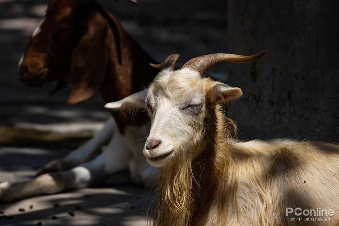 手机玩电脑游戏需要什么_电脑手机高要求游戏怎么办_对电脑要求不高的手机游戏