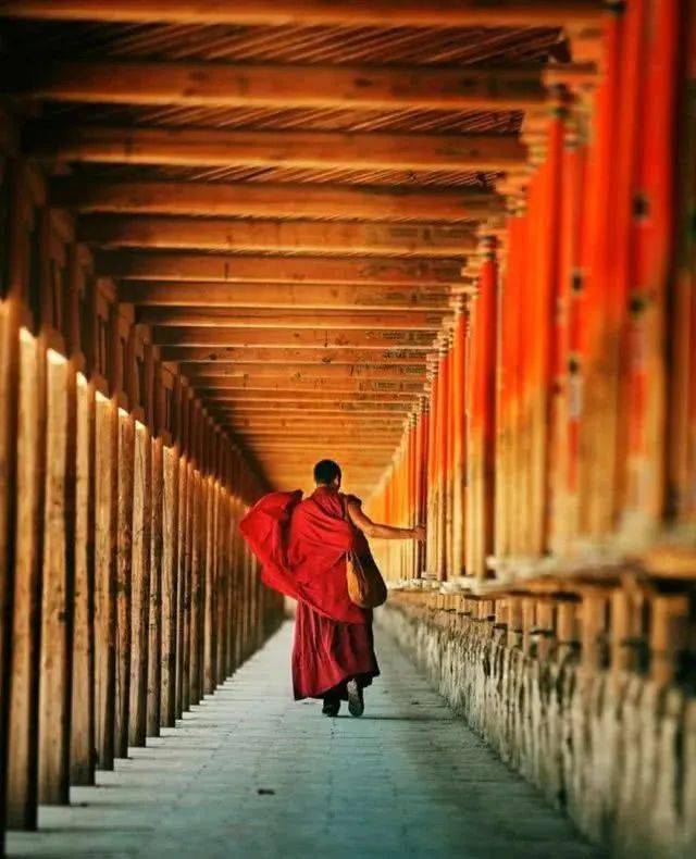 手机游戏手游_Tibet手机游戏_手机游戏捕鱼