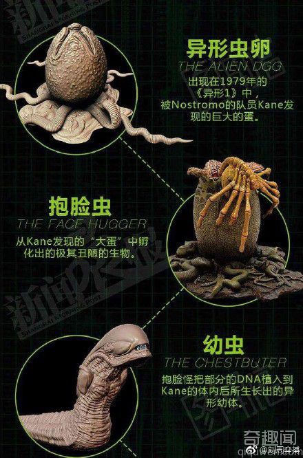 孢子游戏手机版游戏介绍_孢子游戏安卓版_孢子游戏手机版叫什么