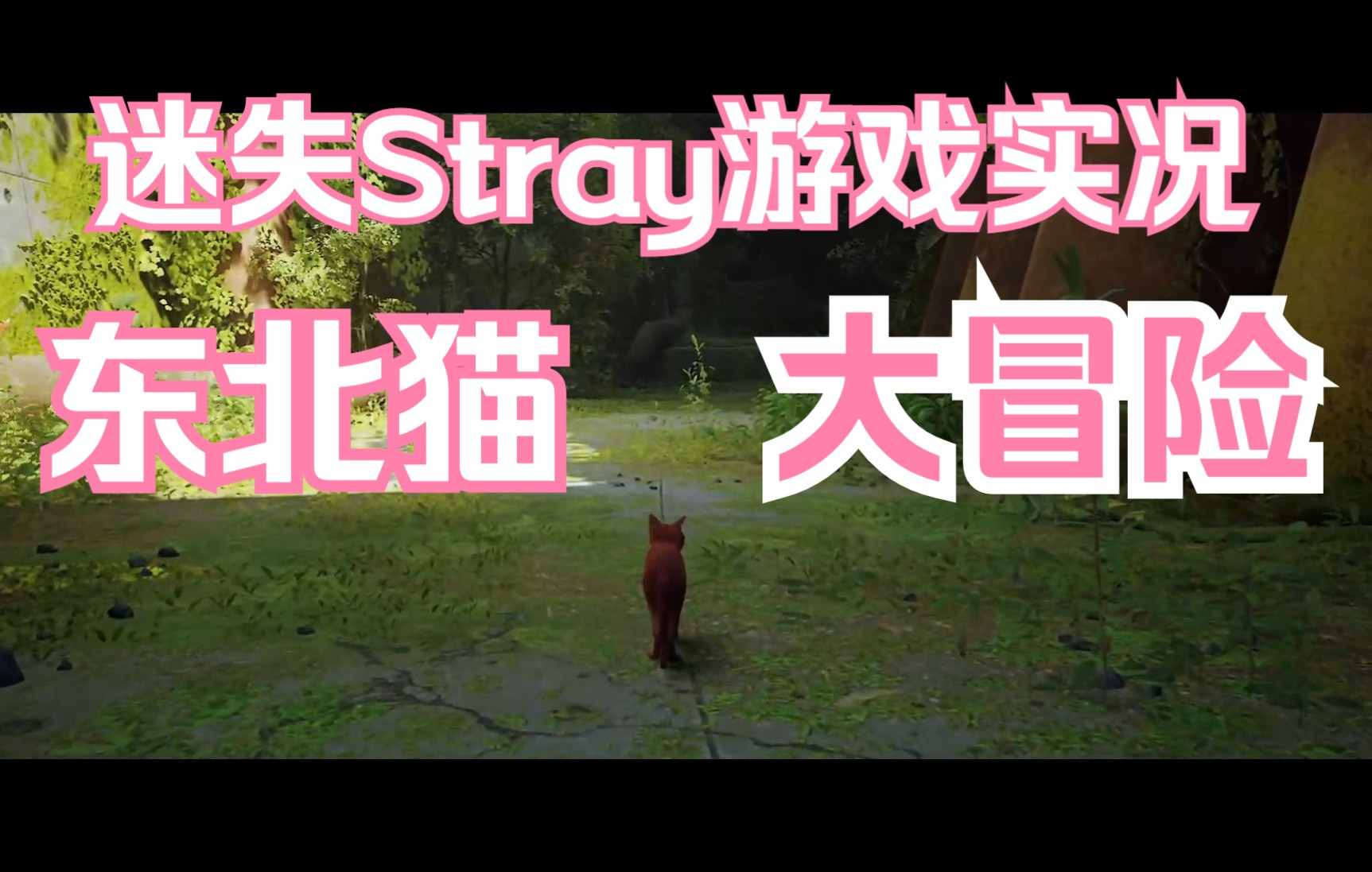 stray手机游戏_手机游戏推荐_手机游戏平台