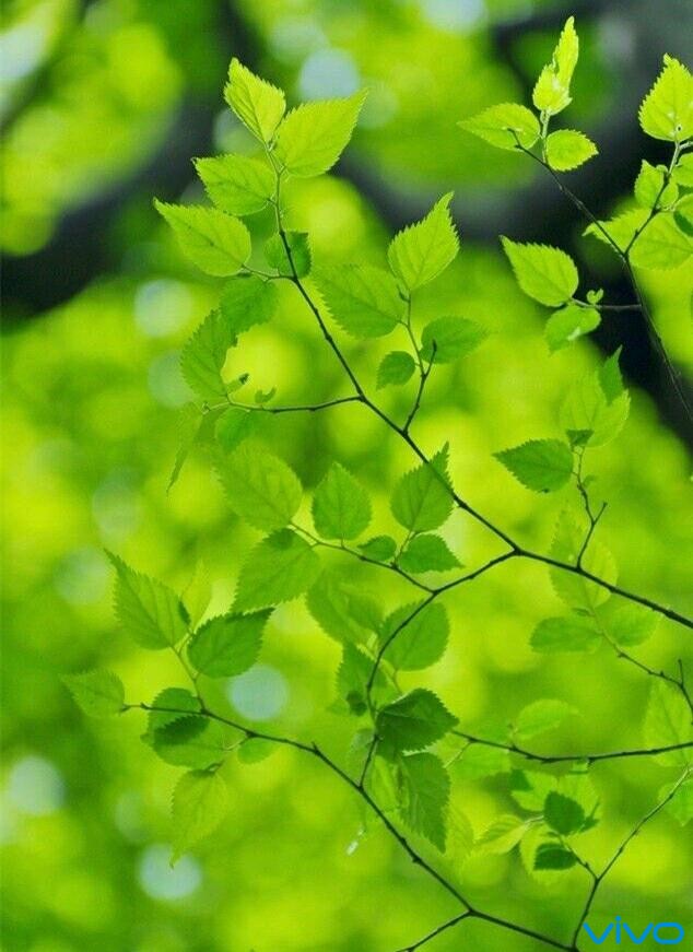 打鼓 手机游戏_安卓打鼓游戏_打鼓手机游戏怎么玩