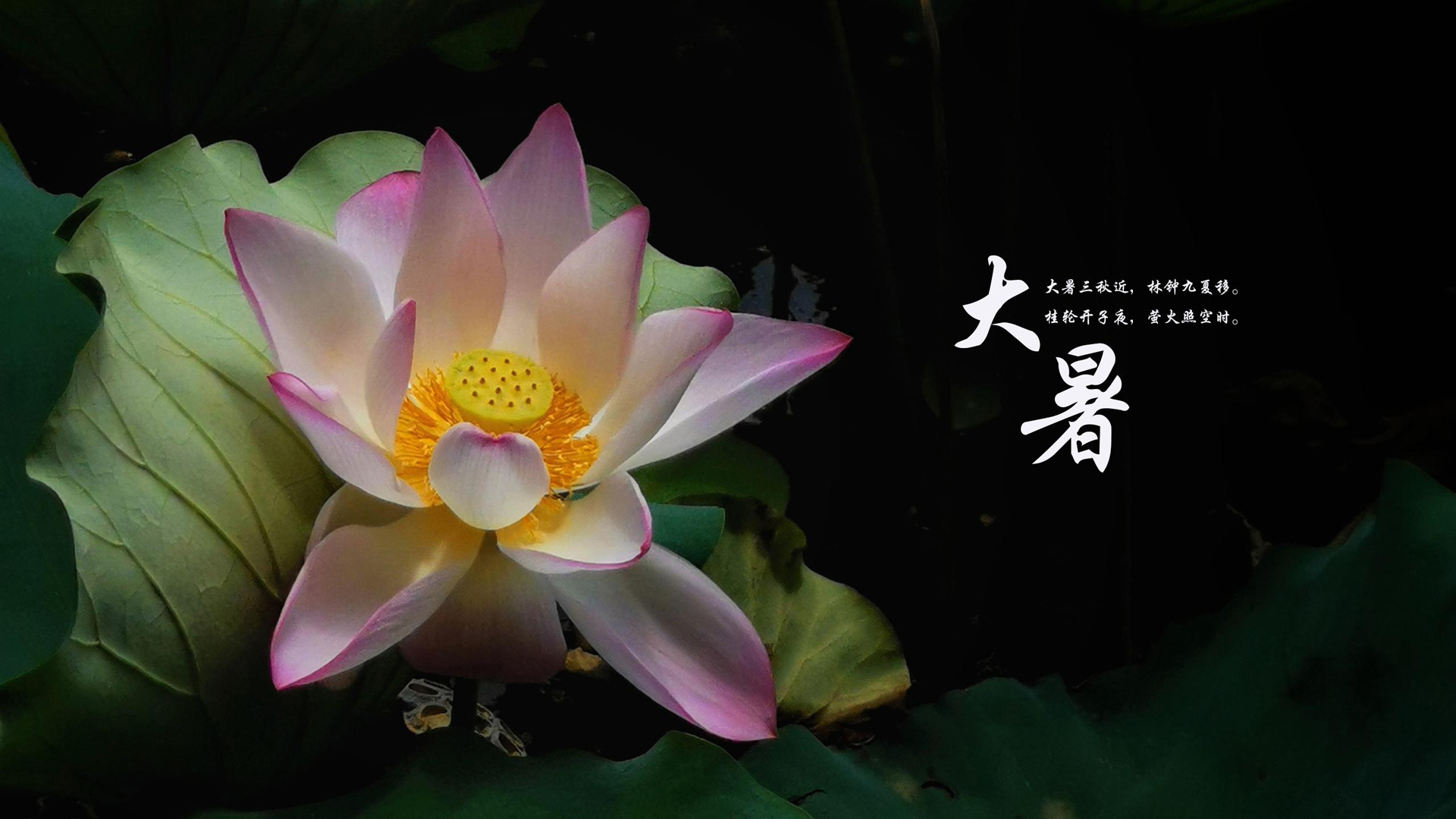 二十四节气最热的节气_节气热闹的成语_节气热度排行