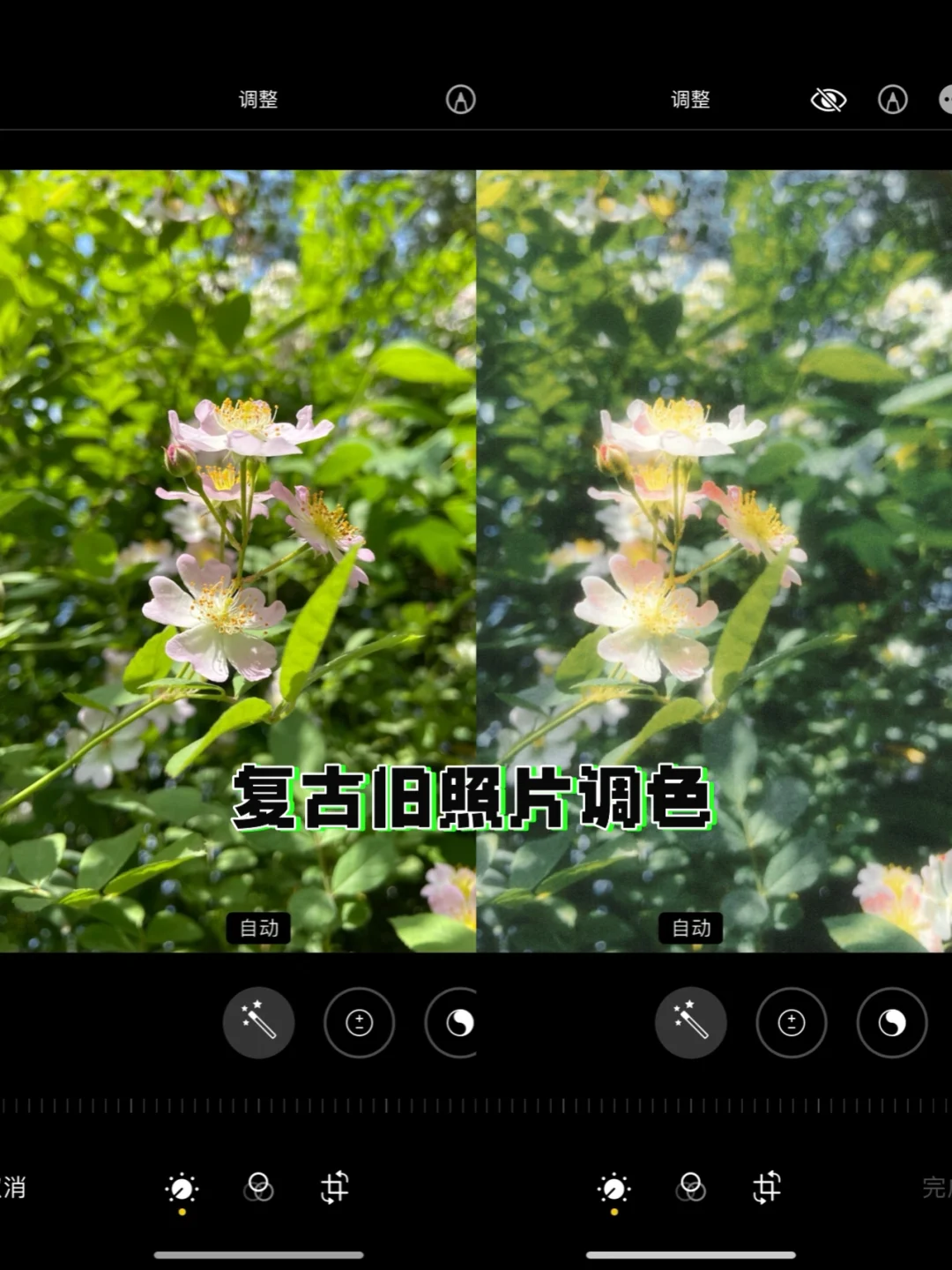 痕迹是多少_醒图无痕迹p掉多余的东西_痕迹太多
