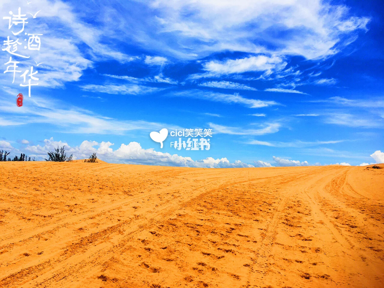 明星行程是什么意思_明星公开行程_明星行程一般在哪公布