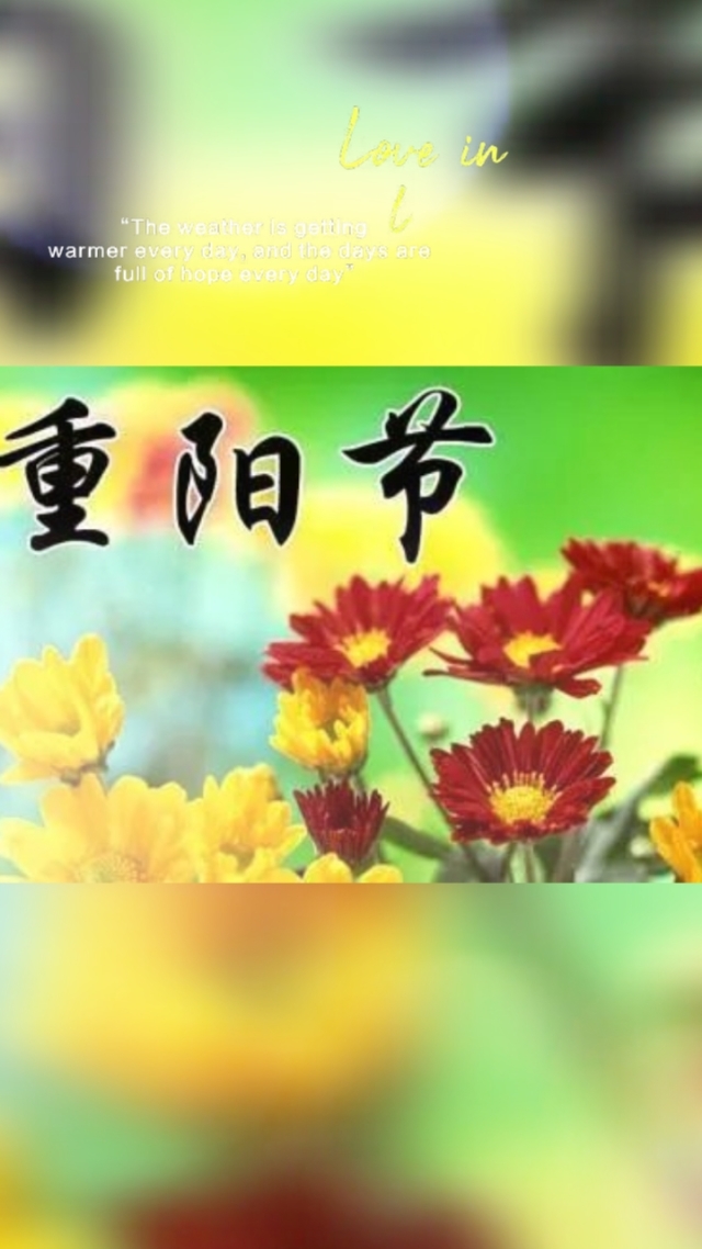 重阳节几号_重阳节号码_重阳节号召敬老爱老