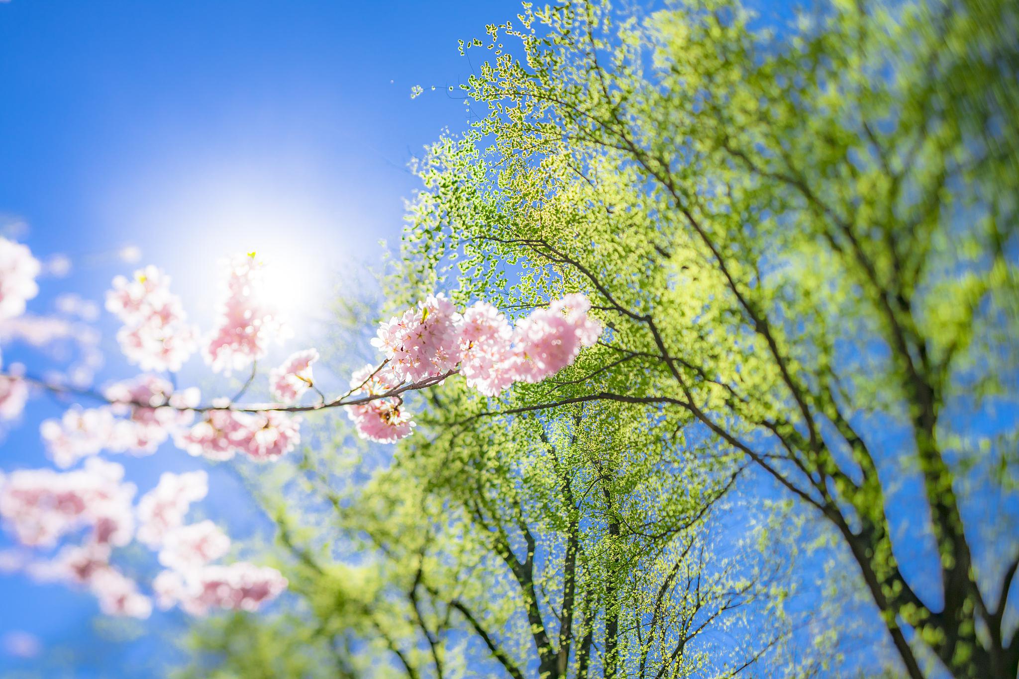 大谷翔子_大谷翔子_大谷翔子