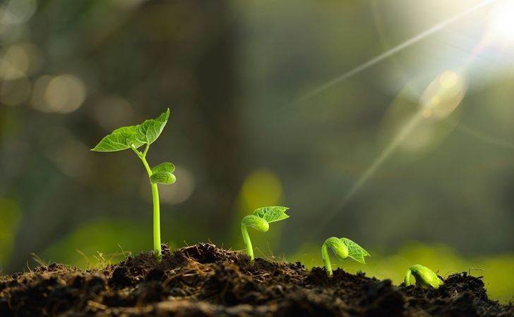 手机游戏平台_cearclub手机游戏_手机游戏捕鱼