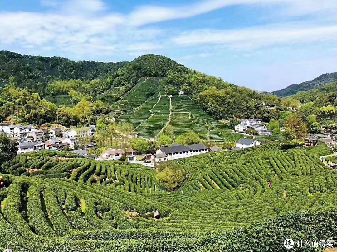 斑鸠手机游戏怎么玩_斑鸠游戏手机_斑鸠游戏ps4