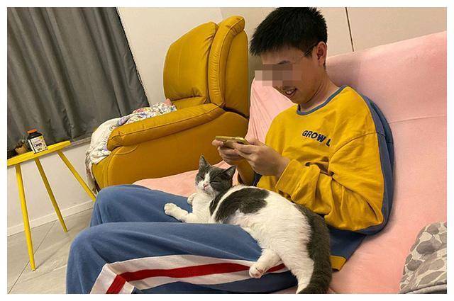 下跪求饶qq表情_儿子玩手机游戏下跪求饶_齐大胜下跪求饶