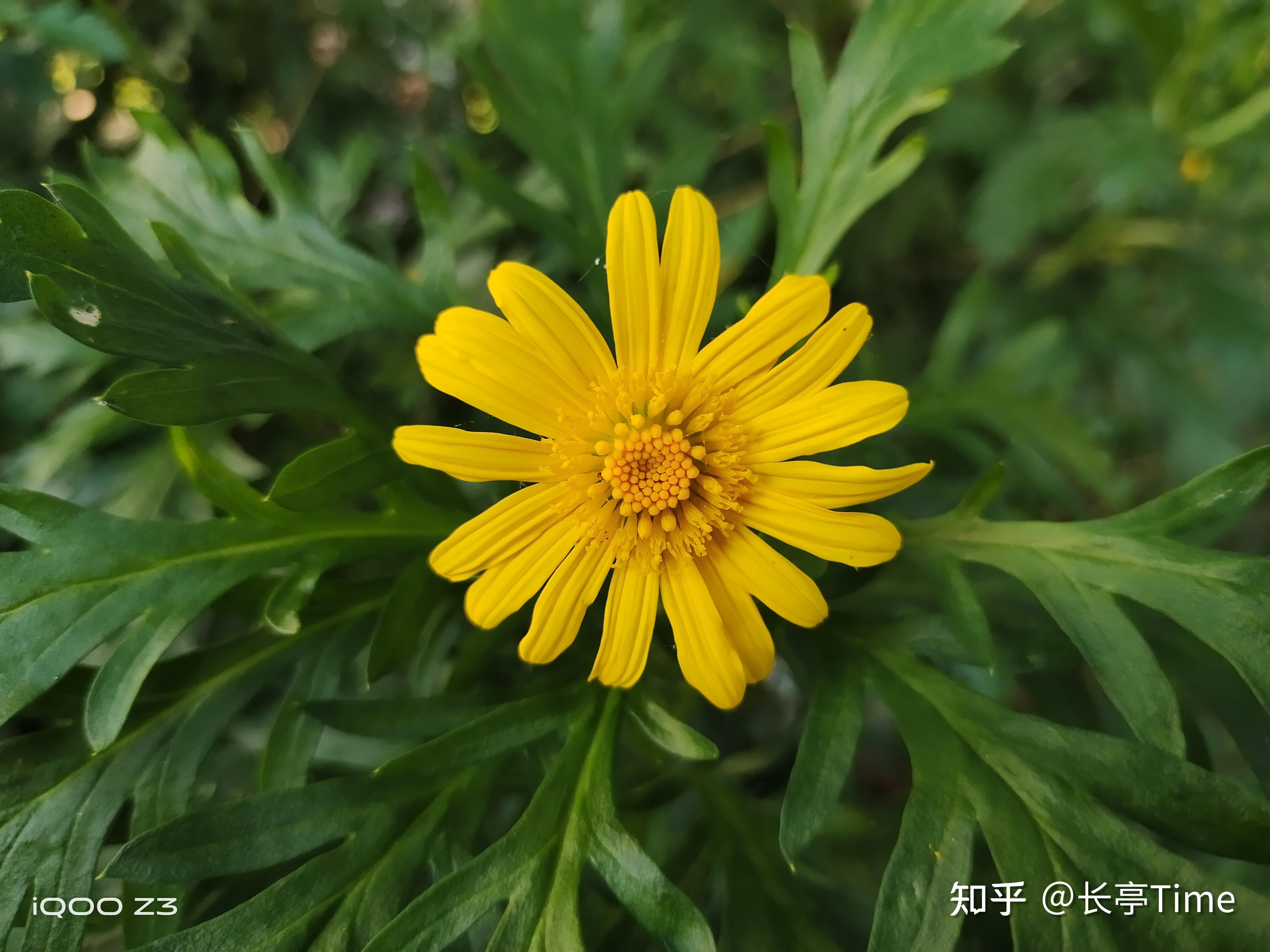 手机游戏元气骑士_手机游戏元素合成最初有水火土_百元真正的游戏手机推荐