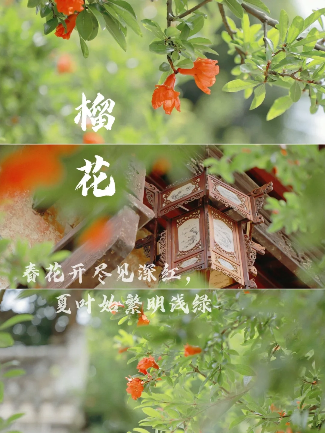 古风任务手机游戏怎么玩_古风的任务手机游戏_古风做任务游戏