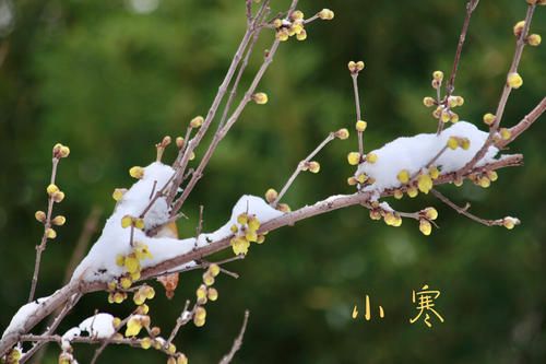 过了大寒_大寒过后是什么节气_大寒过了是哪个节气