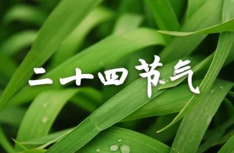 大寒过了是哪个节气_大寒过后是什么节气_过了大寒