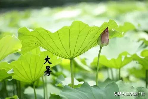 大寒过后是什么节气_大寒过了是哪个节气_过了大寒