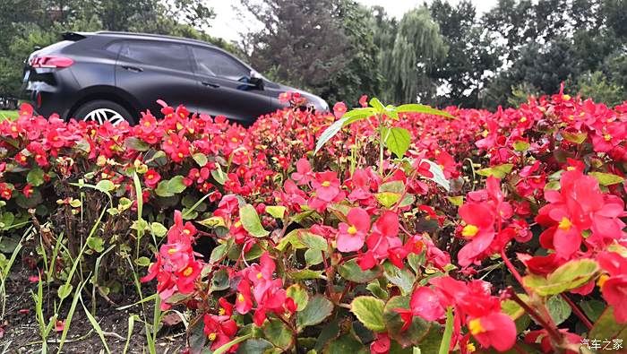 长城vv5落地价格_长城vv5_长城vv5油耗多少钱一公里