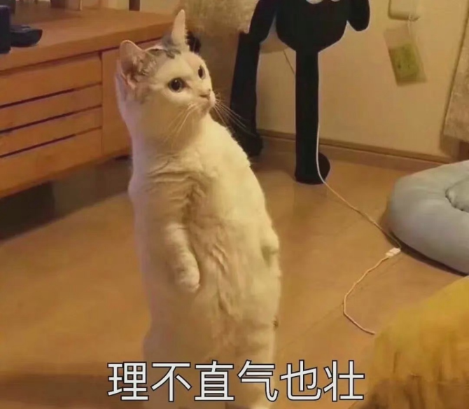 tiktook下载_TIKTOK下载游戏手机_tiktok手机版下载