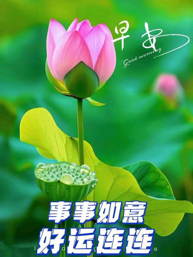 手机游戏app大全_手机游戏合集app_床上啪啪.手机游戏