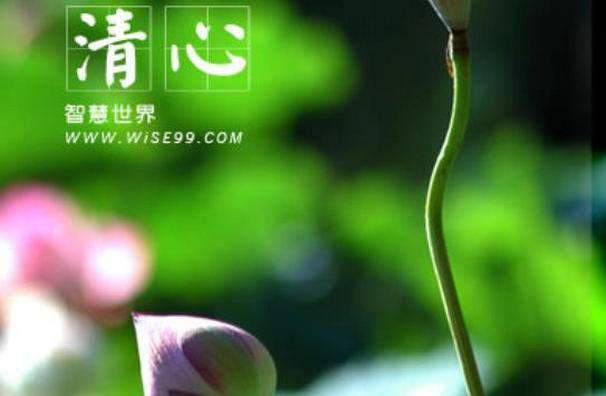 在纷扰世界中，卓定是我内心的执着与坚持