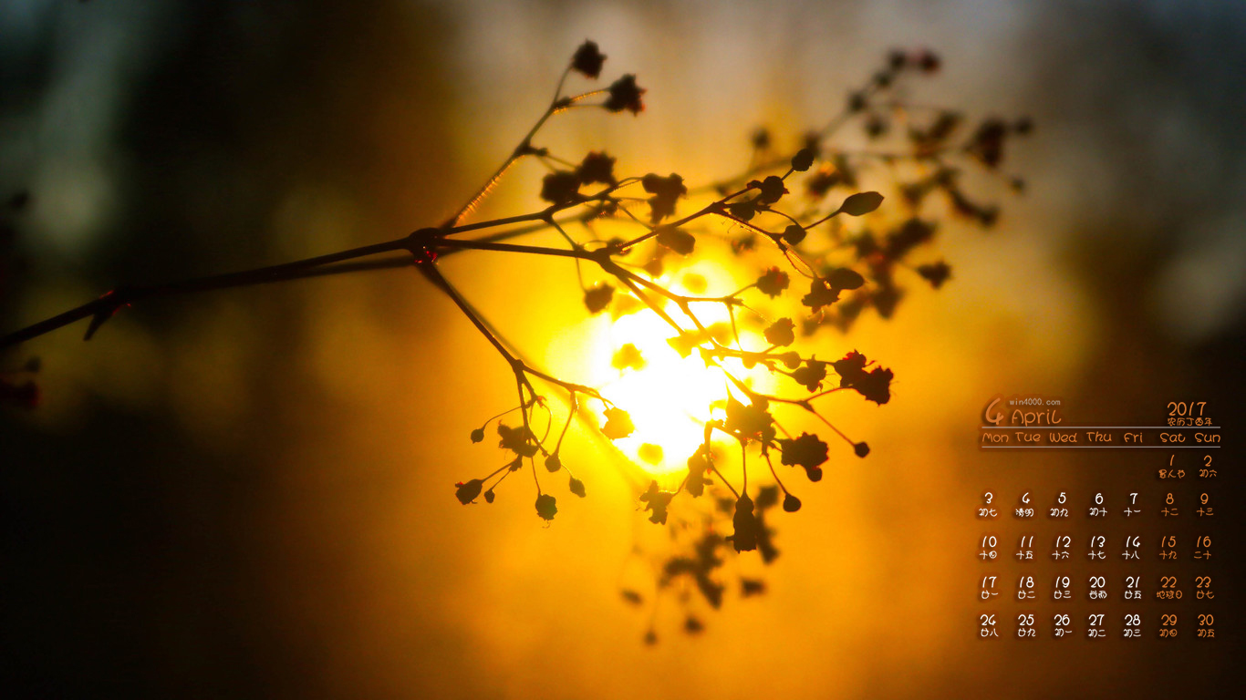 2025年是不是闰月年_2017年5月23日_月日年还是日月年