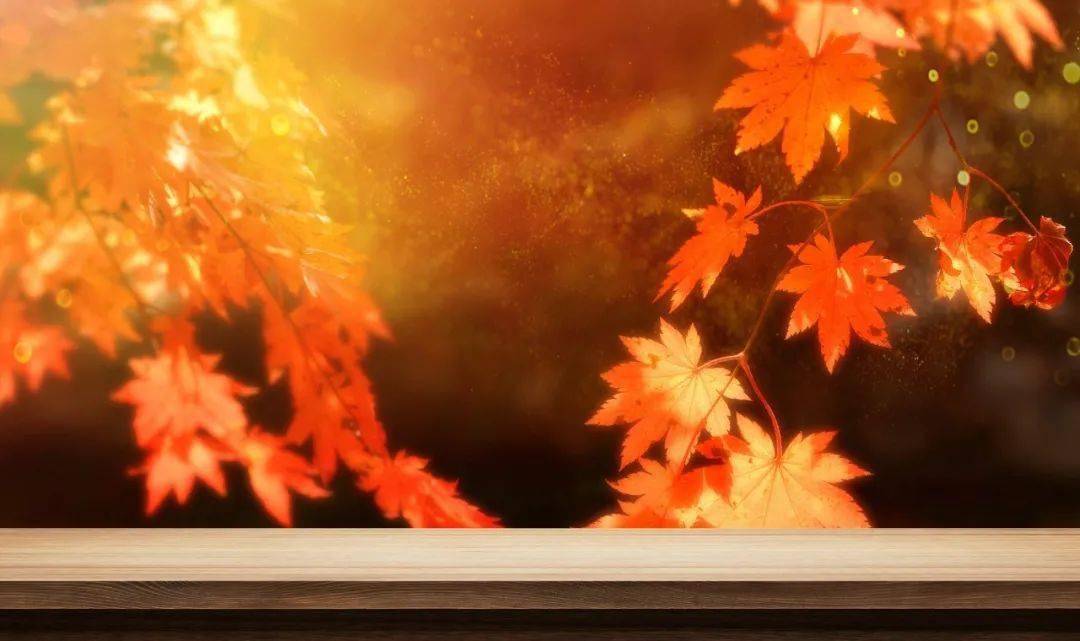 波多结野衣_波多结野衣_波多结野衣