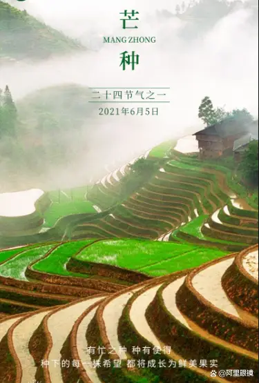 阿里游戏手机客服_阿里游戏客户端是什么意思_阿里海外游戏客服