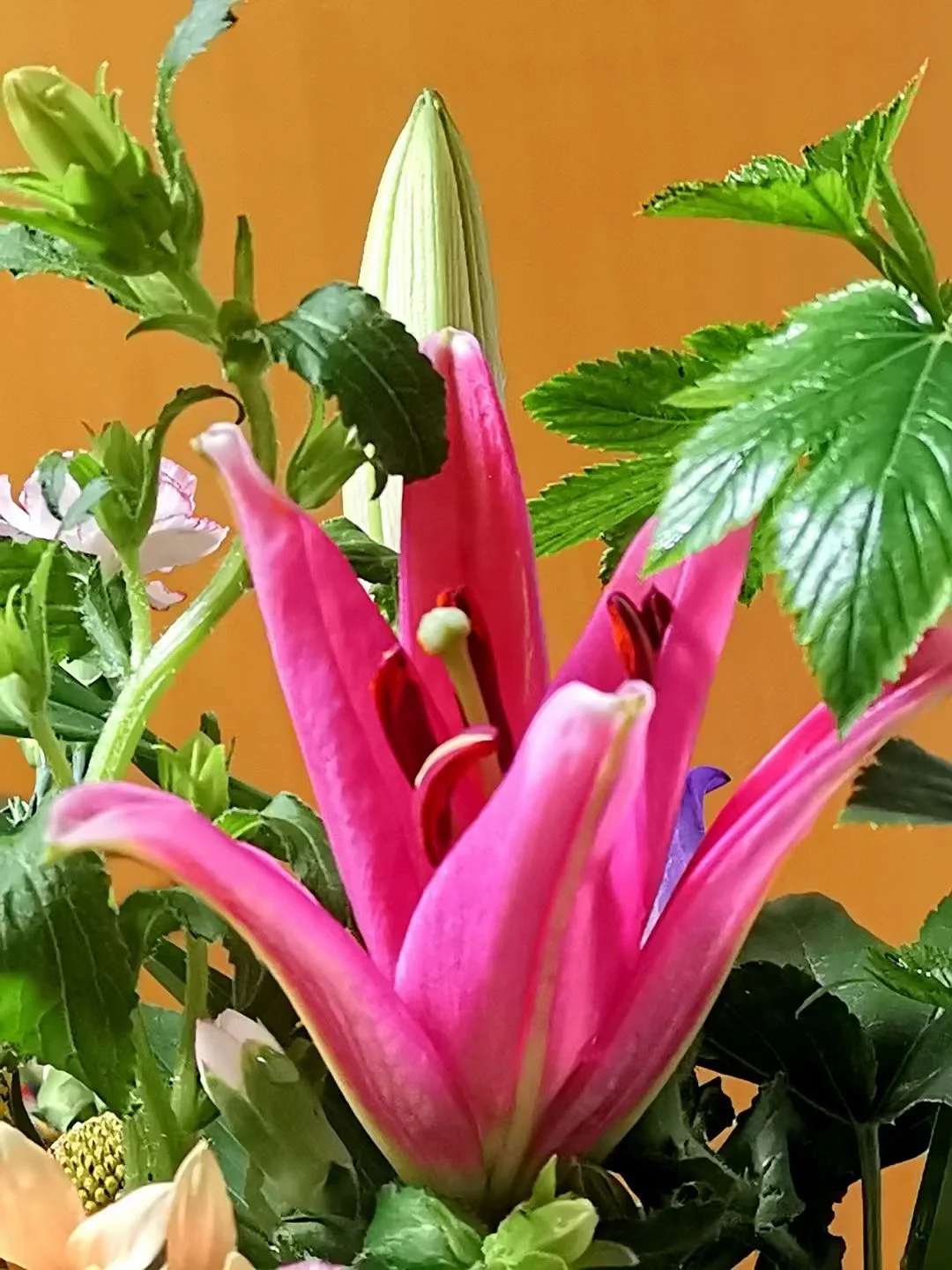 礼包王者回归要等几天_王者回归礼包要等多久_礼包王者回归要等多久