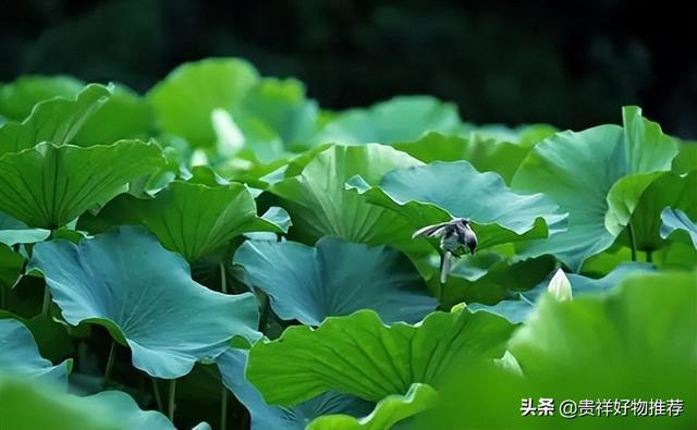 2025年是不是闰月年_月年2023年_2022年7月12日