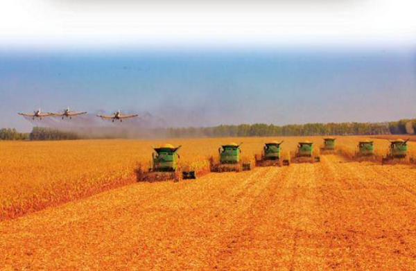 神域少女_来一个神域少女_神域少女的域怎么写