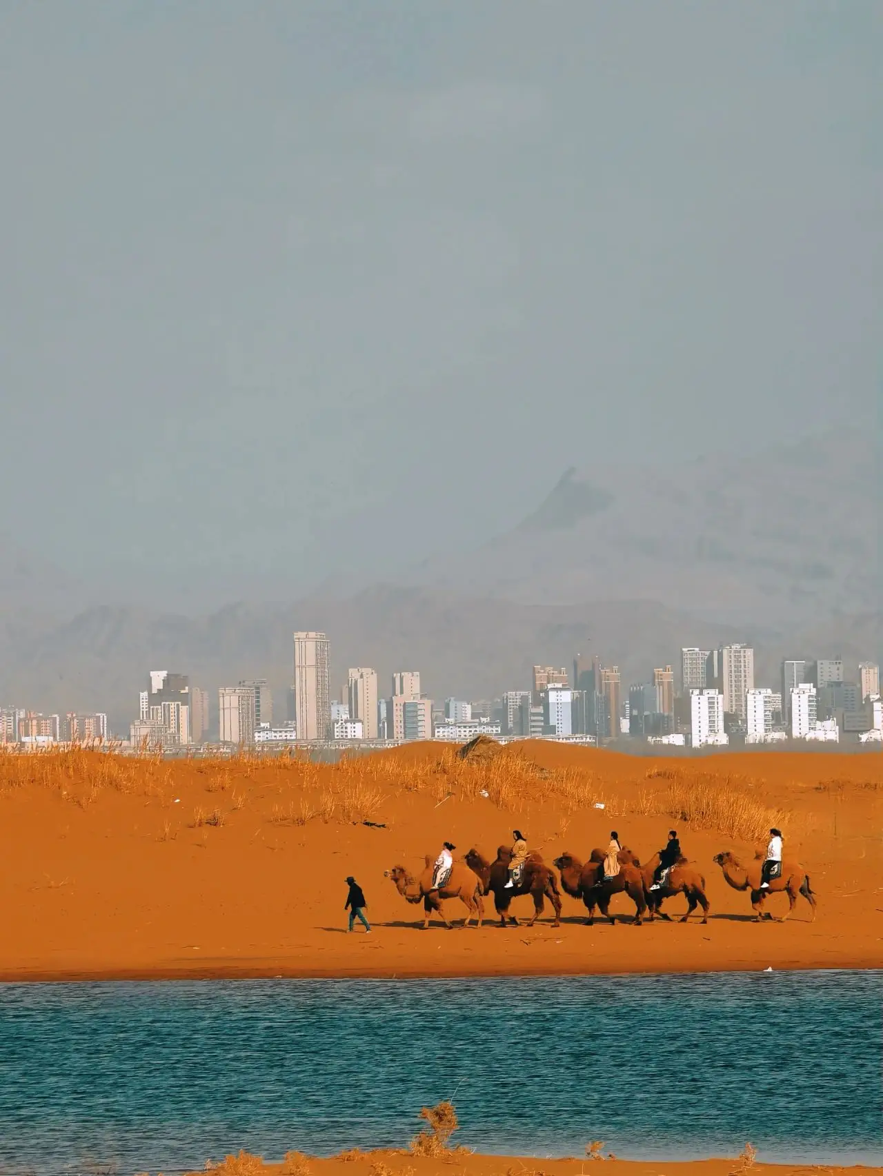 荀淑_荀淑_荀淑